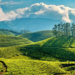 Australia to Kerala: What You Need to Know